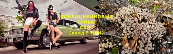 первитин Ладушкин