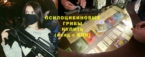 apvp Лагань