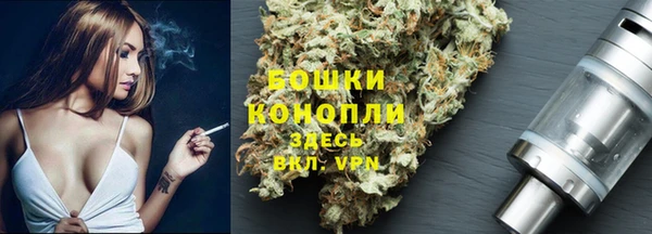 первитин Ладушкин