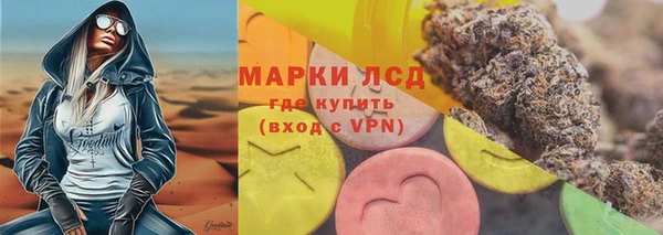 шишки Кострома
