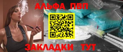 бошки Кингисепп