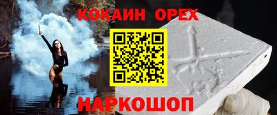 бошки Кингисепп