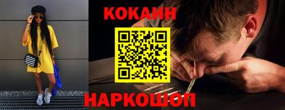 бошки Кингисепп
