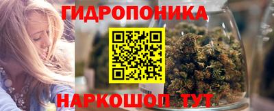 бошки Кингисепп