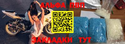 бошки Кингисепп