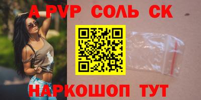 бошки Кингисепп