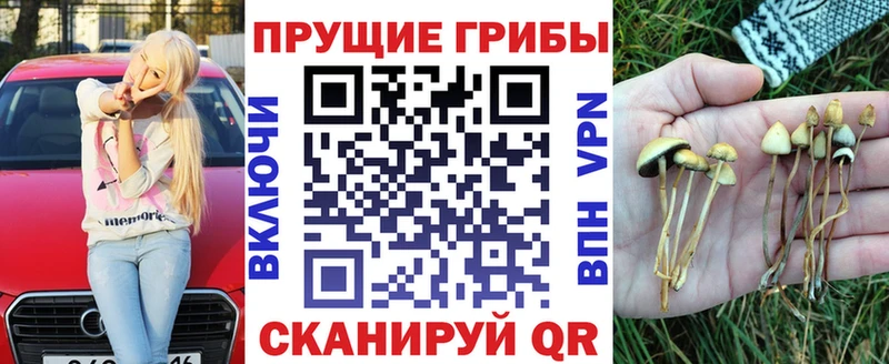 Галлюциногенные грибы Magic Shrooms дарнет шоп маркетплейс телеграм Ростов-на-Дону