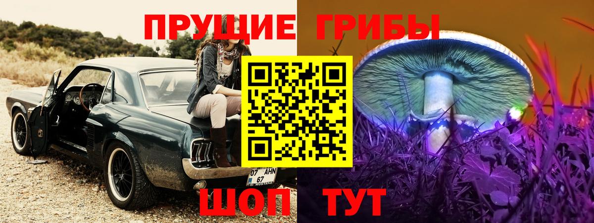 Галлюциногенные грибы Psilocybine cubensis Ростов-на-Дону