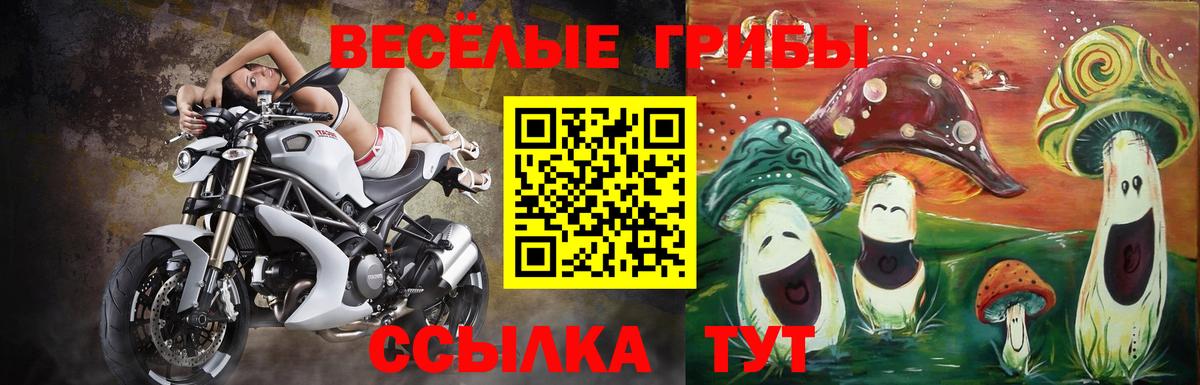 Псилоцибиновые грибы Psilocybe  Ростов-на-Дону  Псилоцибиновые грибы мухоморы 