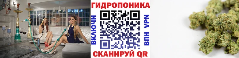 купить   мега ссылка  Конопля тримм  Ростов-на-Дону 
